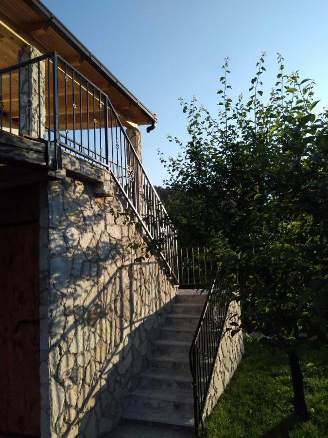 Vinarija "Delmo" Apartments 特雷比涅 外观 照片
