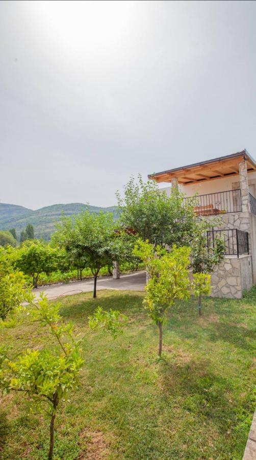 Vinarija "Delmo" Apartments 特雷比涅 外观 照片